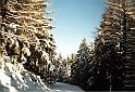 010211 snowboard